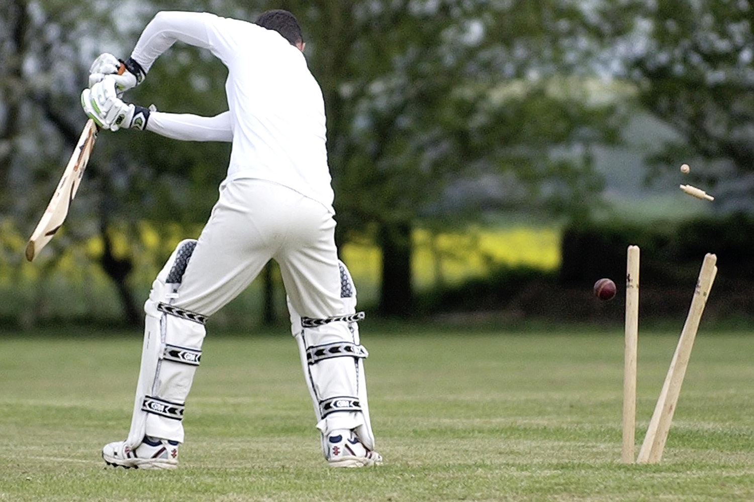 E - Cricket (1)